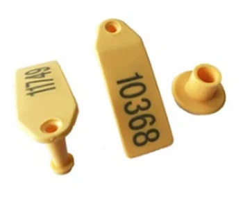 Syntek's ear tag Syntek's ear tag